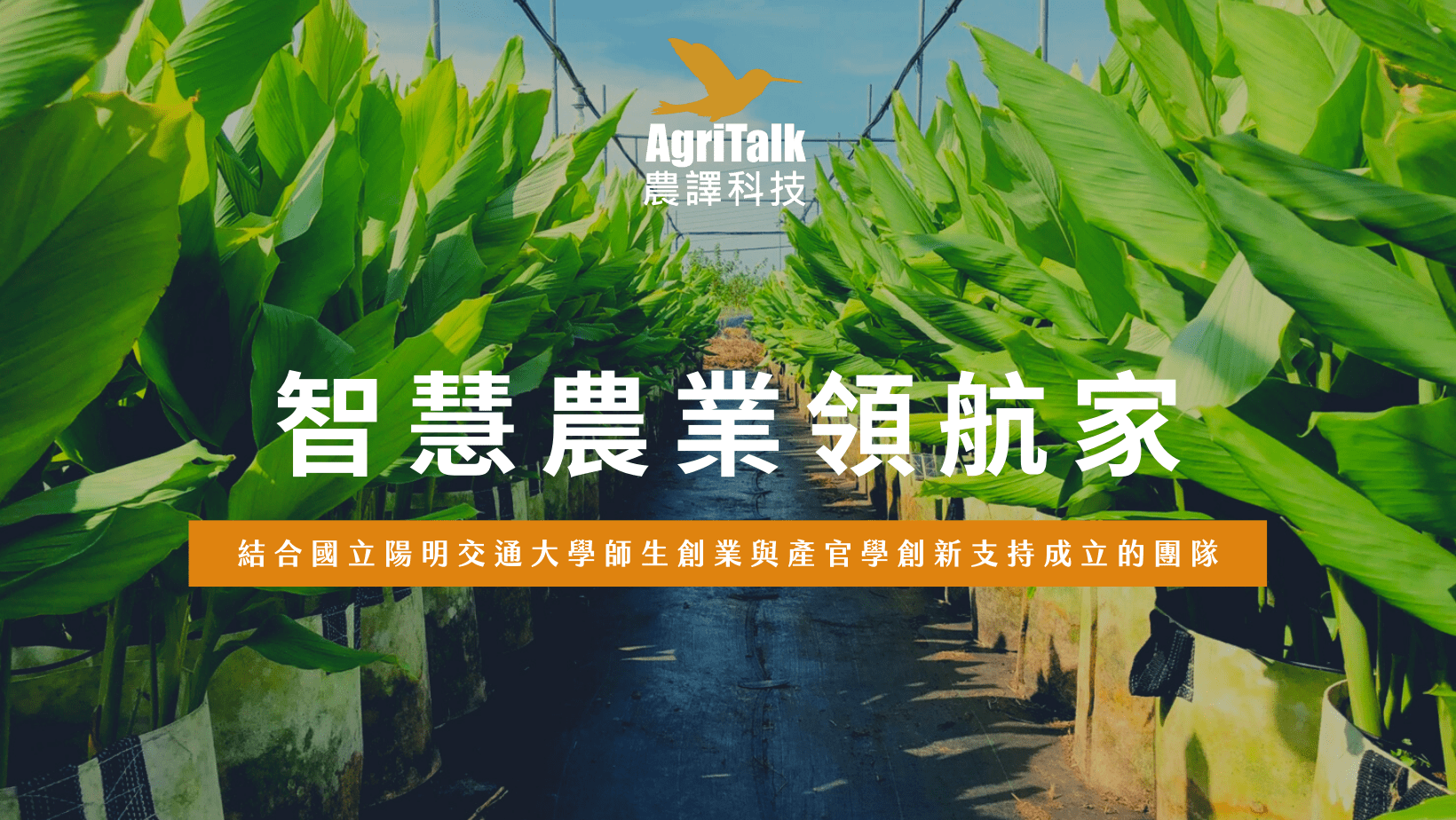 AgriTalk Technology Inc. combines university teams to deliver innovative services.