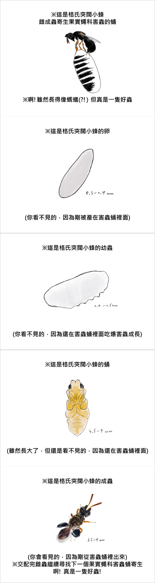  class='img_caption'