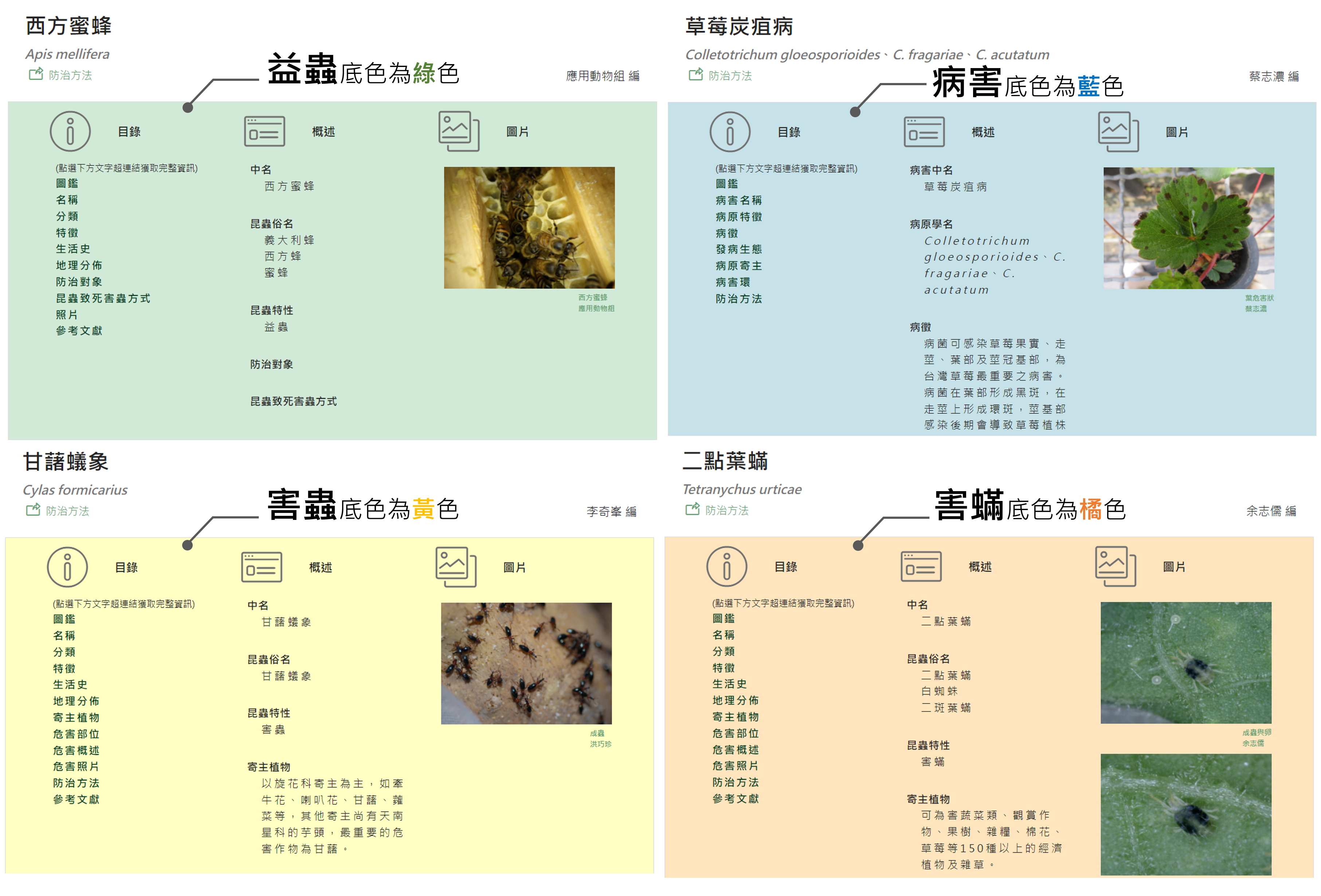 Figure 2: Background color design for beneficial insects, pests, diseases, and mite damage sections.