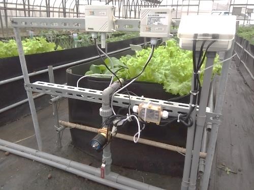 圖六、無線傳輸環境傳感器，採用WiFi傳輸模組搭配Arduino模組，接上光度計、空氣溫濕度計及土壤濕度計，偵測土壤溼度進行自動灌溉