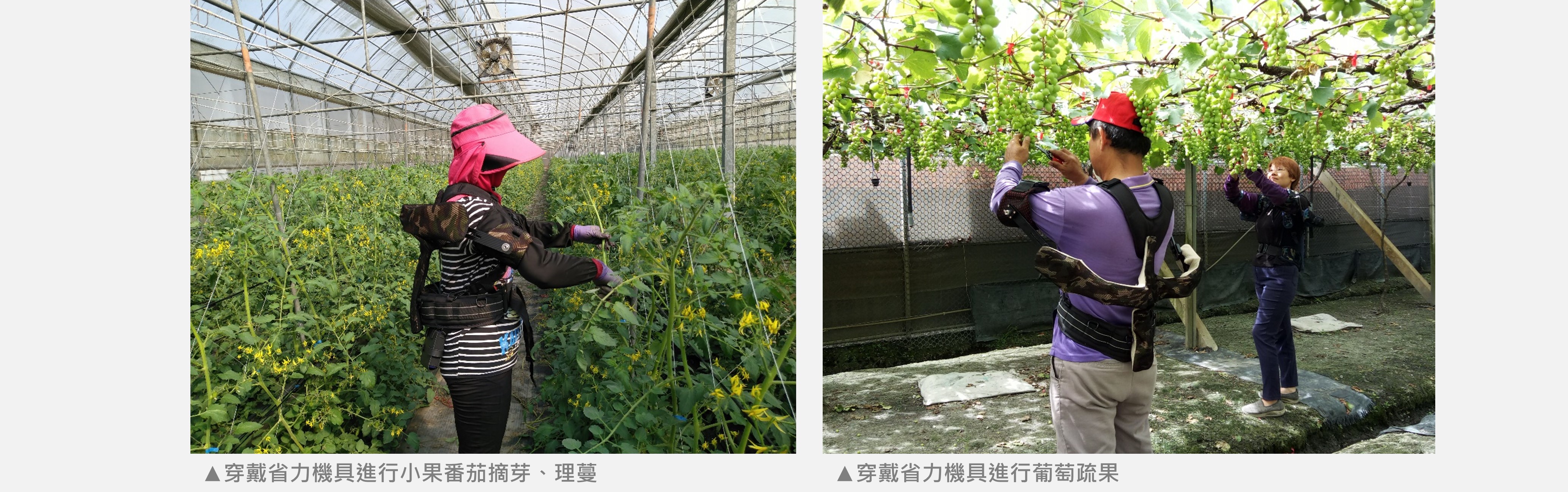 農用穿戴式省力機具 智慧農業