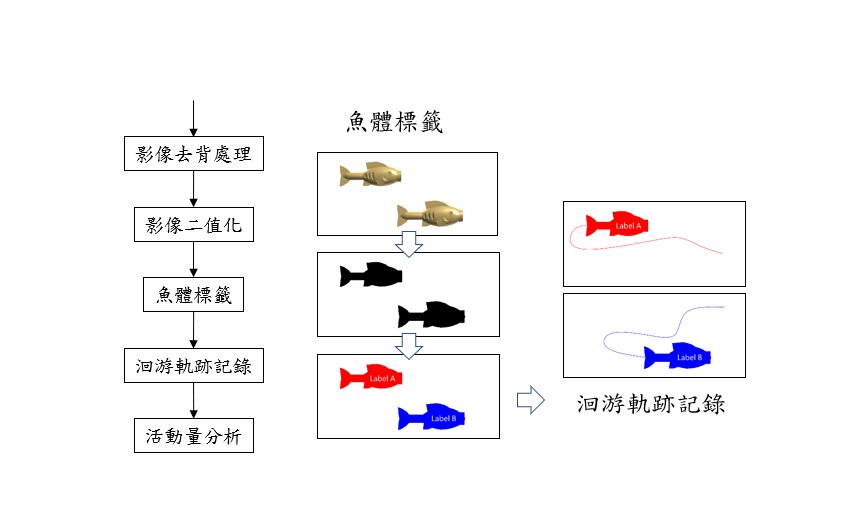 圖2、觀賞魚種魚行為辨識分析主要分析流程功能