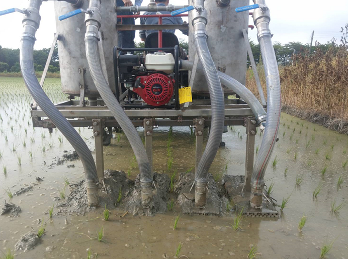 圖1、插秧機附掛式福壽螺清除機具田間作業情形。