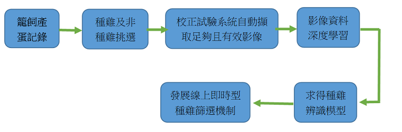 圖2、種雞篩選機制發展流程
