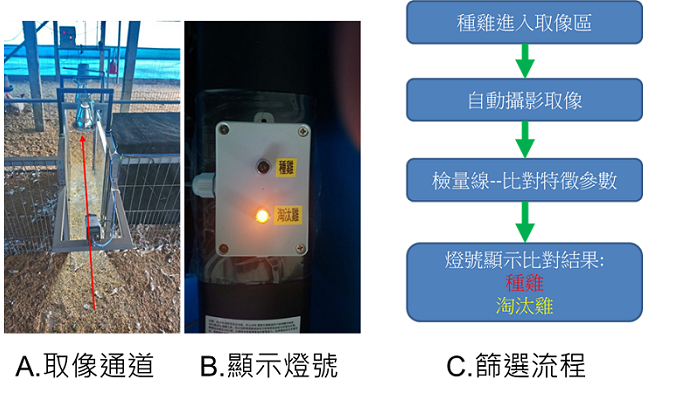圖4、智慧化種雞篩選機制，可快速篩選生育性能良好種雞