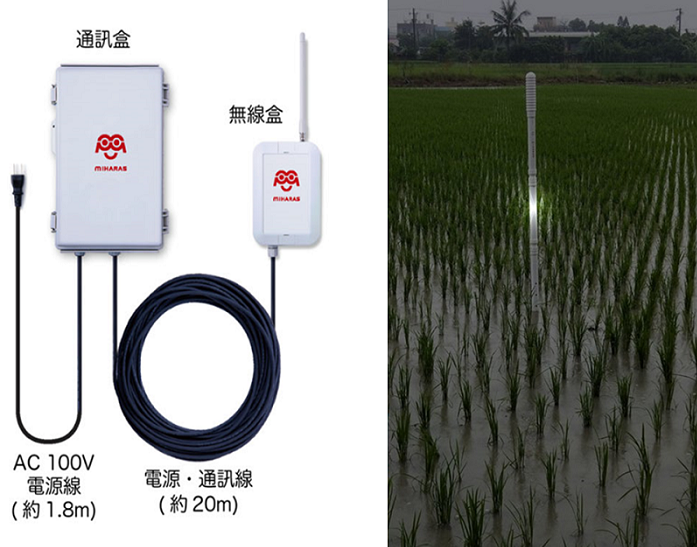 圖2、建置於水田的傳感器外觀及資訊傳輸模組。