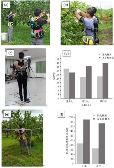 圖3、檸檬園實地採收與量測。圖(a)為檸檬園實地採收測試；圖(b)為芭樂園實地套袋測試；圖(c)為實驗室肌電訊號實驗架設圖；圖(d)為實驗室肌電訊號量測結果；圖(e)為檸檬園肌電訊號實驗架設圖；圖(f)為檸檬園肌電訊號量測結果。