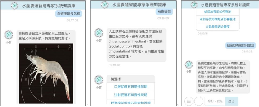 圖3、水產養殖智能專家系統知識庫應答介面(白蝦/石斑魚/文蛤)