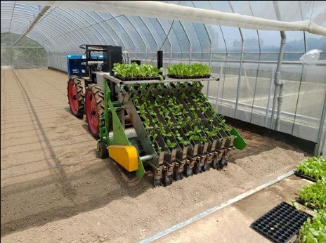 電動葉菜移植機