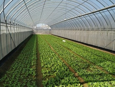 溫室內定點安裝感測器偵測光度與空氣溫溼度