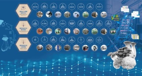 蕈優智能化生產模組製程