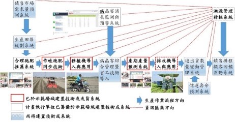 外銷萵苣智慧集團生產聯盟作業模式