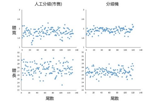 魚體(3號)體長與體寬量測，右圖為海上實測結果，標準差較市售(人工選別)減少60%，顯示選別較為精確