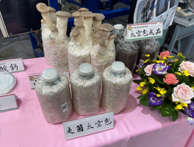 圖四、全自動化製包機所生產之太空包與杏鮑菇出菇照片(於農試所菇類實驗室拍攝)