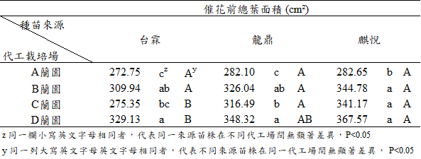 表2. 蝴蝶蘭‘V3’經不同蘭園代工栽培6個月後，催花前之葉面積。