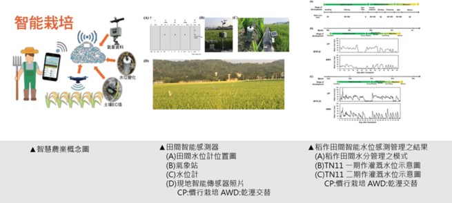 圖3、在田間設置智能水位感測器，提高水資源調配利用效益，節省總灌溉用水量達30%以上。