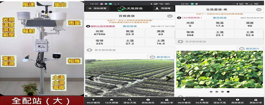 圖2、外銷毛豆生產專區輔導示範場域利用智能型影像監測系統，24小時監測毛豆植株生長與田間病蟲危害情形，並即時掌控農田微氣象資料。
