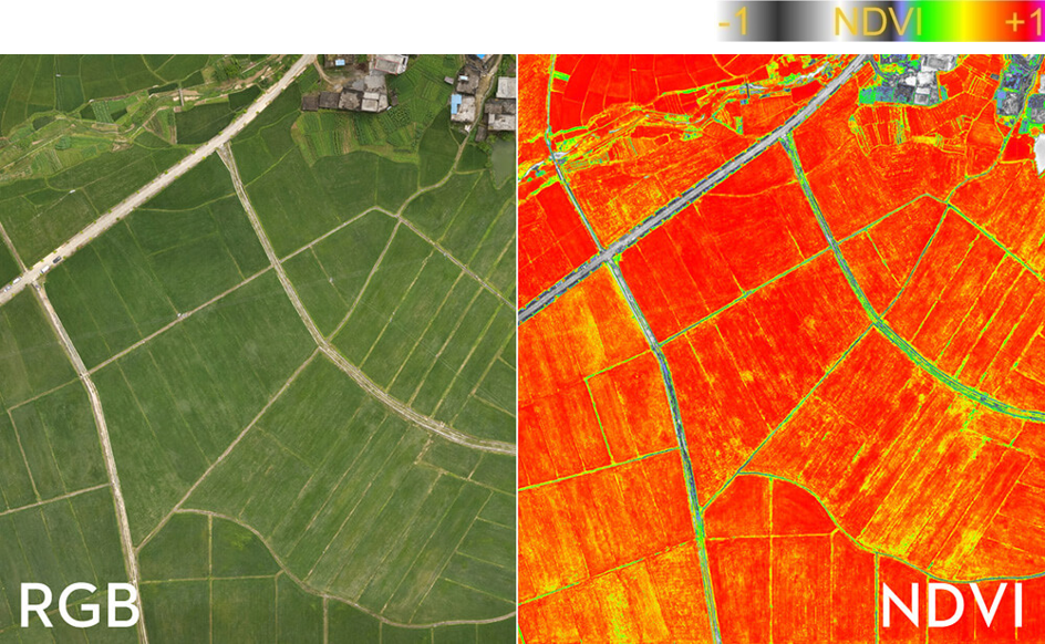 圖一、一般可見光(RGB)與NDVI colormap於空拍機螢幕畫面示意圖。