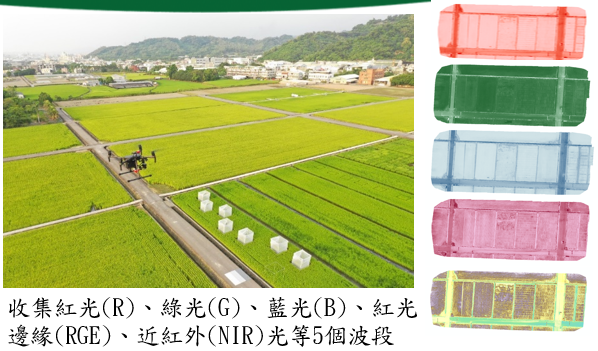稻熱病好發預測系統