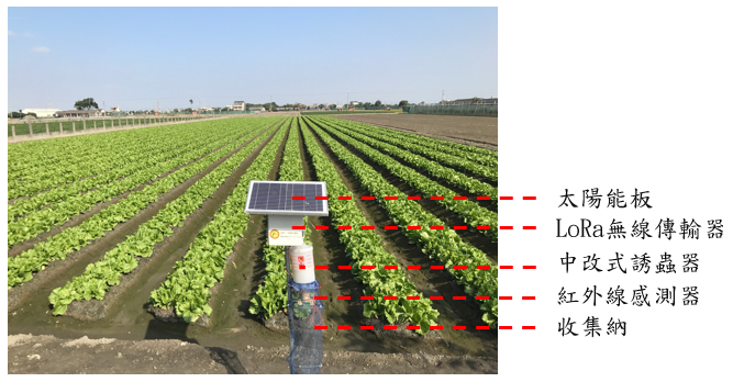 圖1 斜紋夜蛾偵測裝置