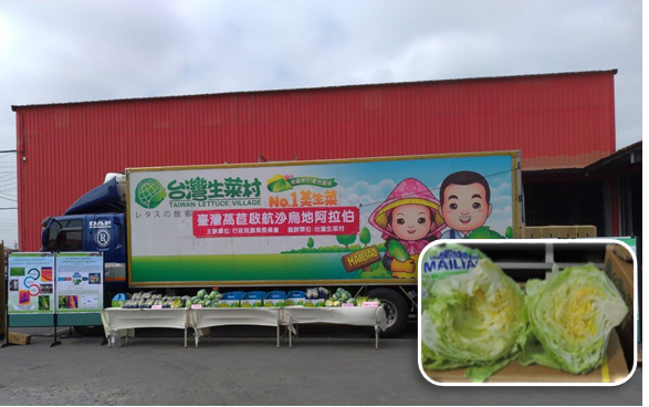 Figure 2. The utilization of cold chain technology helped iceberg lettuce vendors overcome transport bottlenecks and enter Middle Eastern markets.