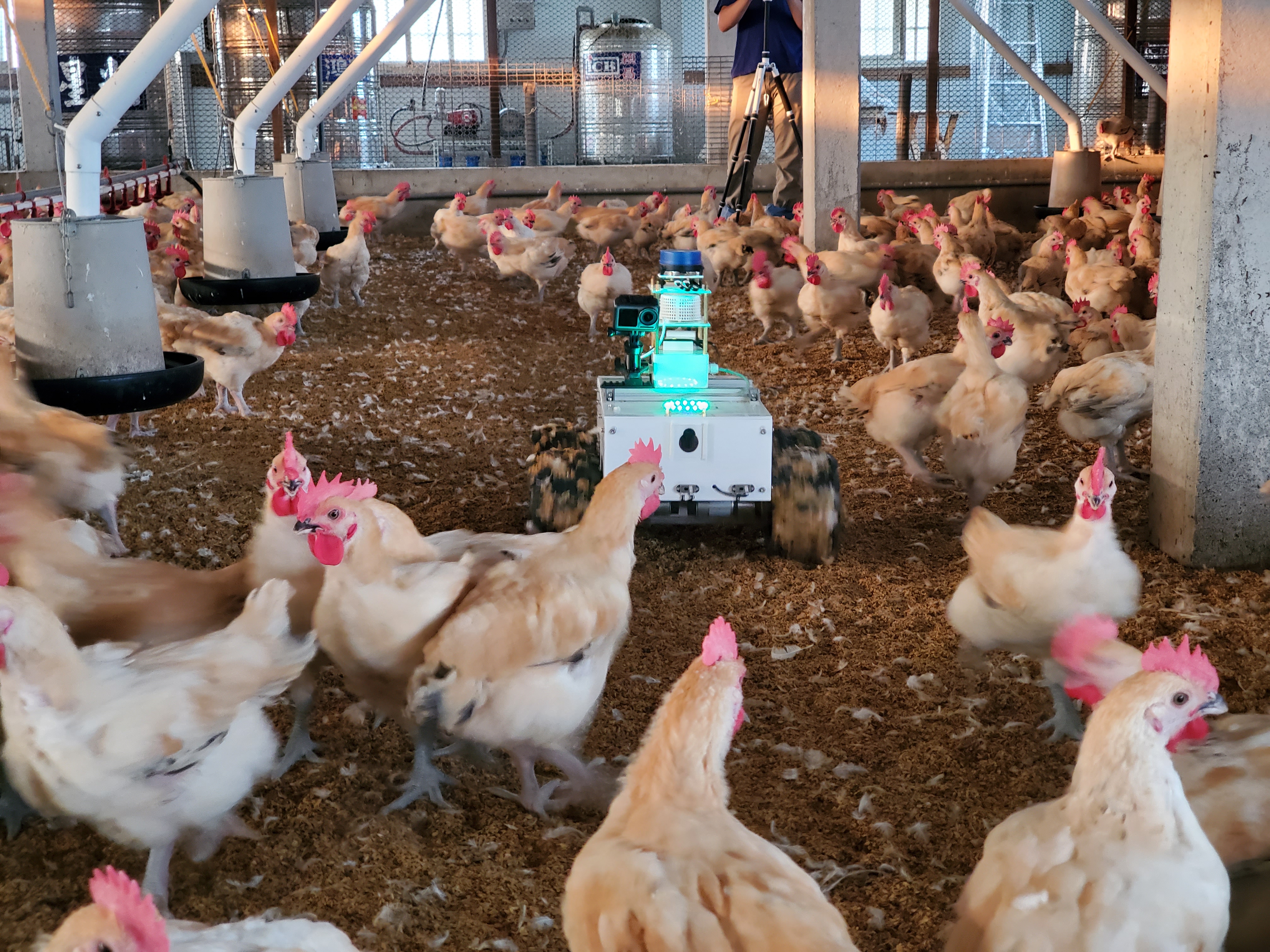 Fig.1. A photo of a robot patrolling autonomously in a chicken coop (I).