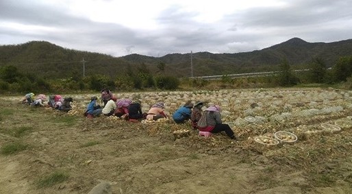  class='img_caption'