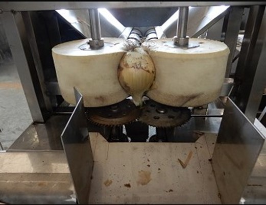  class='img_caption'
