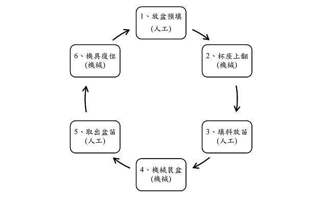 圖三、機械化裝盆作業程序