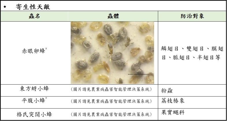 表2、常見的寄生性天敵種類(*為國內已存在商品)
