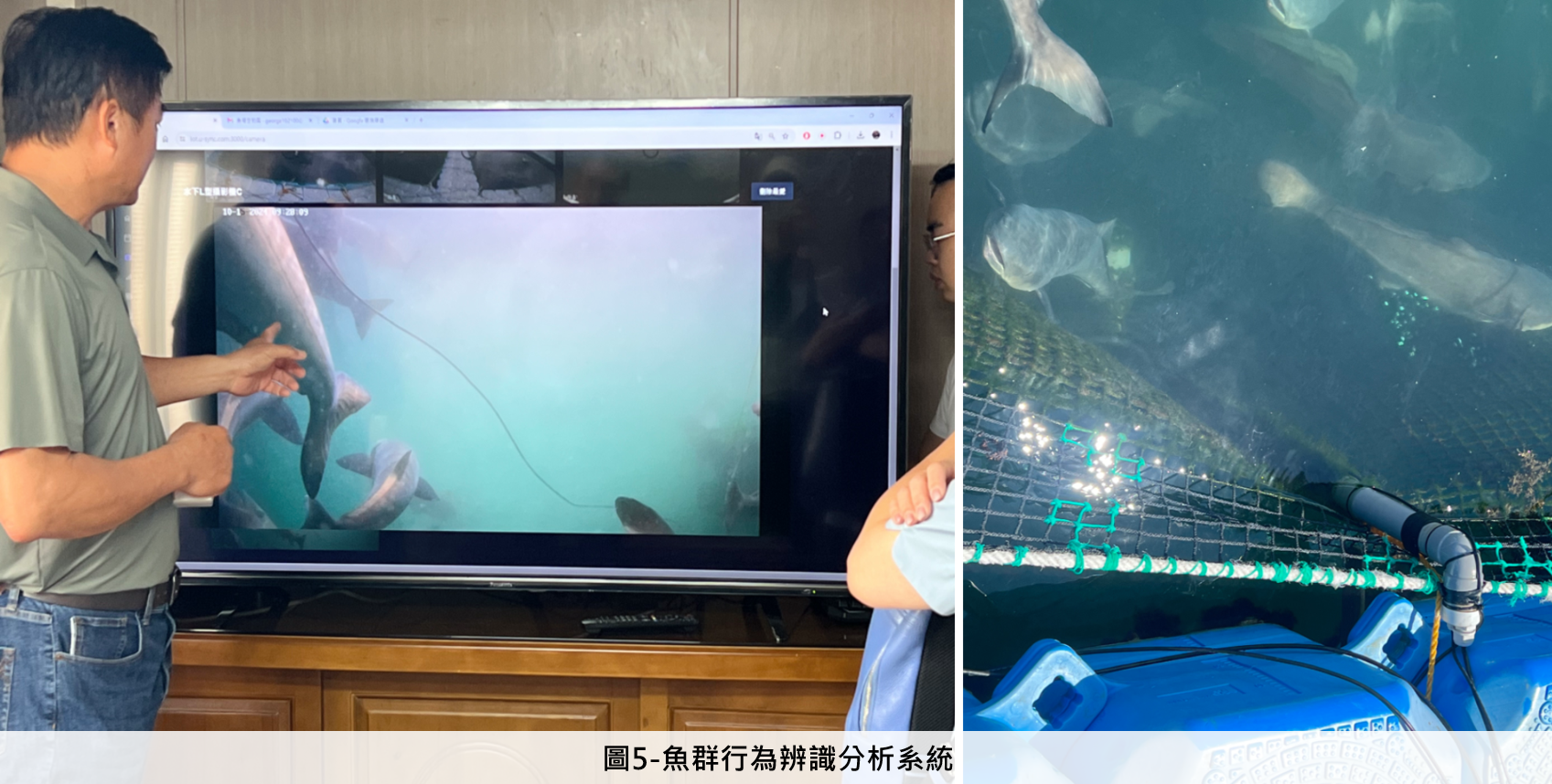 魚群行為辨識分析系統