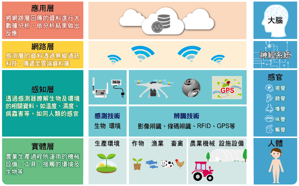 農業物聯網技術應用階層圖